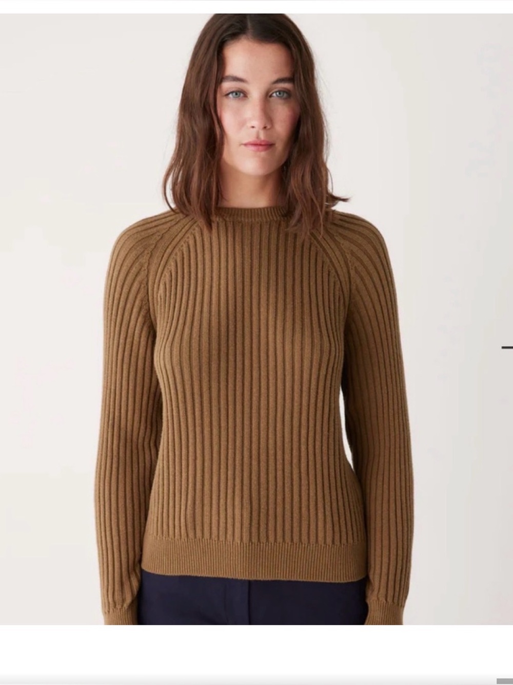 NWT Frank & Oak Ribbed Crewneck Sweater in Brown